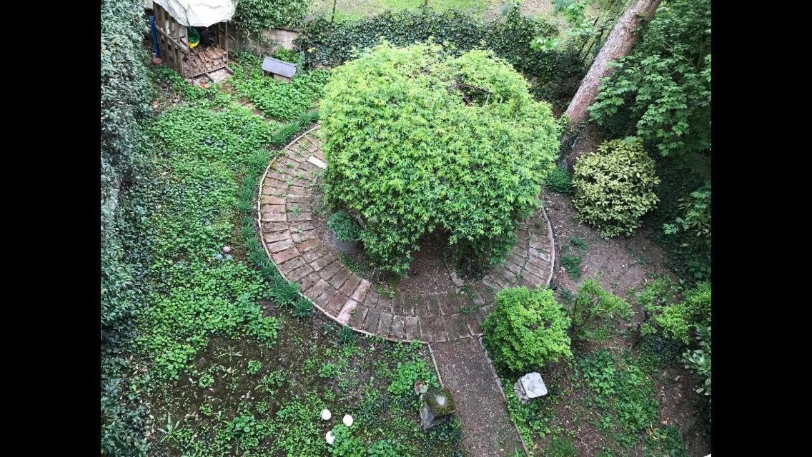 Casa Luminosa Con Giardino In Centro Storico Apartamento Reggio Emilia Exterior foto